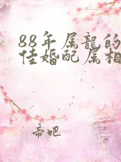 88年属龙的最佳婚配属相