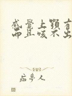 感觉上颚有痰,而且咳不出痰是怎么原因