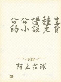 公公借种生孩子的小说免费阅读
