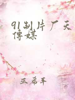 91制片厂天美传媒