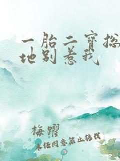 一胎二宝总裁爹地别惹我