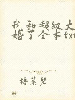 我和超级大佬隐婚了全本txt下载