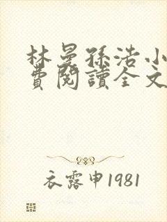 林曼孙浩小说免费阅读全文最新章节