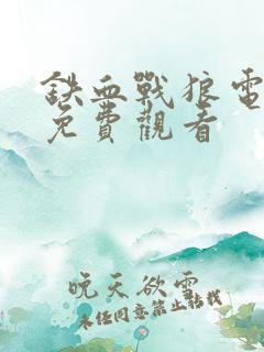 铁血战狼电视剧免费观看