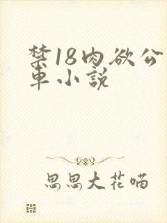 禁18肉欲公交车小说