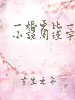 一婚更比一婚高小说周瑾宇全文免费