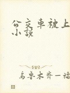 公交车被上高潮小说