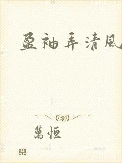 盈袖弄清风