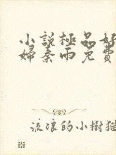 小说极品好儿媳妇秦雨免费阅读全文