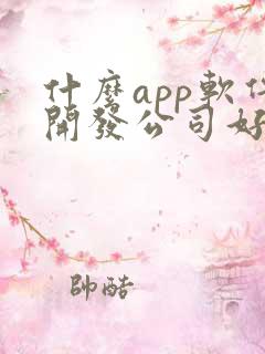 什么app软件开发公司好