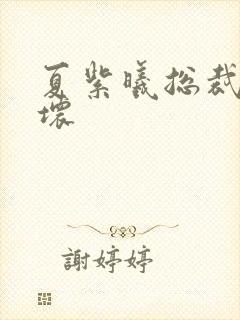 夏紫曦总裁别太坏
