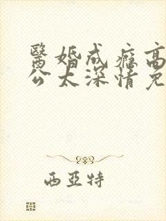 医婚成瘾高冷老公太深情免费阅读