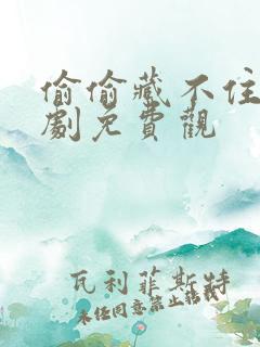 偷偷藏不住漫画剧免费观