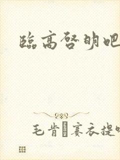 临高启明吧