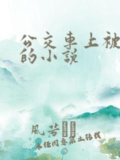 公交车上被侵犯的小说