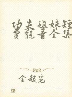 功夫姐妹短剧免费观看全集完整版