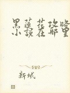 黑莲花攻略手册小说在哪里看免费