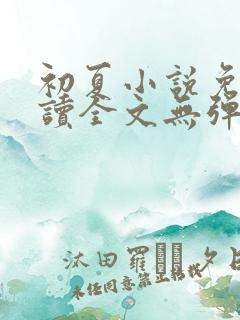 初夏小说免费阅读全文无弹窗