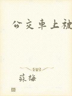 公交车上被人操