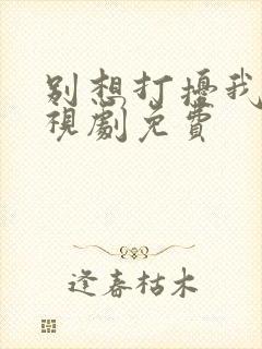 别想打扰我学电视剧免费