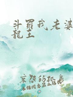 斗罗我老婆是银龙王
