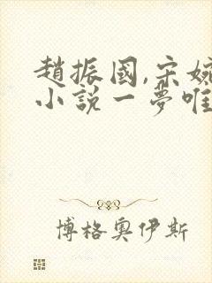 赵振国,宋婉清小说一梦唯一