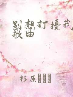 别想打扰我学习歌曲