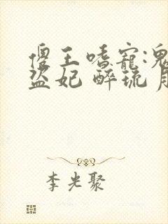 傻王嗜宠:鬼医盗妃 醉琉月
