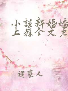 小说新婚娇妻宠上瘾全文免费阅读