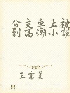 公交车上被人摸到高潮小说