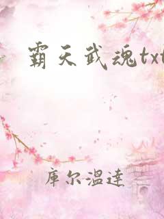 霸天武魂txt