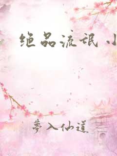 绝品流氓 小说