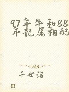 97年牛和88年龙属相配婚姻如何