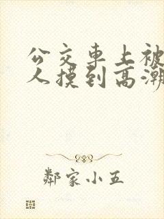 公交车上被陌生人摸到高潮视频