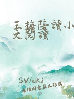 王梅陪读小说全文阅读