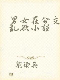 男女在公交车上乱欲小说