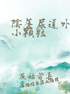 阴唇尿道外口有小颗粒