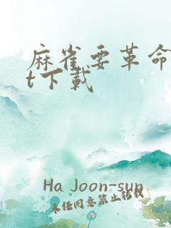 麻雀要革命txt下载