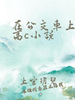 在公交车上弄到高c小说