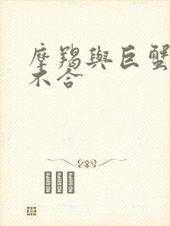 摩羯与巨蟹座合不合