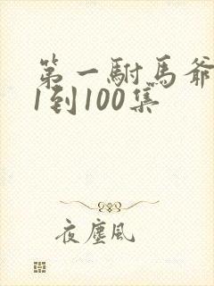 第一驸马爷短剧1到100集