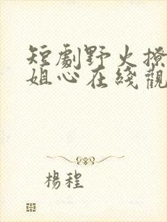 短剧野火撩过姐姐心在线观看