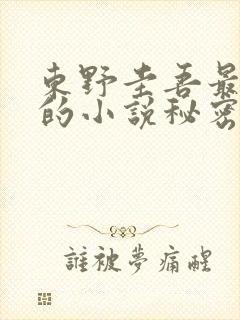 东野圭吾最好看的小说秘密
