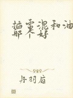 插电混和油电混哪个好