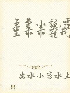 免费小说,霍先生乖乖宠我