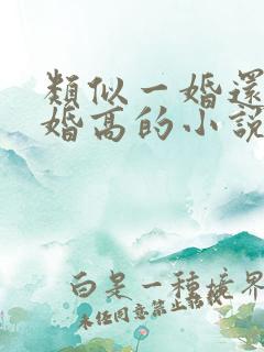 类似一婚还比一婚高的小说