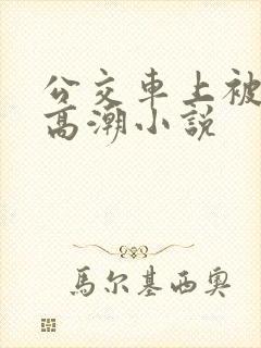 公交车上被插到高潮小说