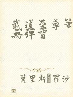 武道至尊笔趣阁无弹窗