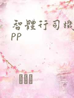 智体行司机端app