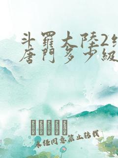 斗罗大陆2绝世唐门多少级